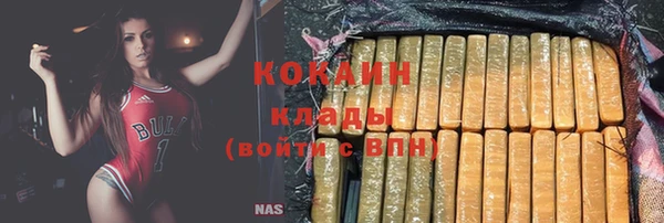 стафф Алзамай