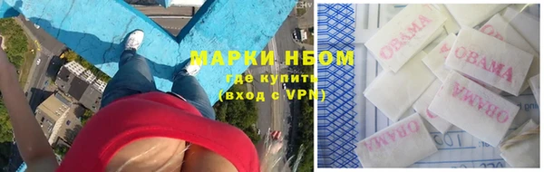стафф Алзамай
