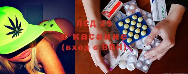 стафф Алзамай