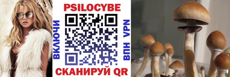 Псилоцибиновые грибы Cubensis  Шадринск 