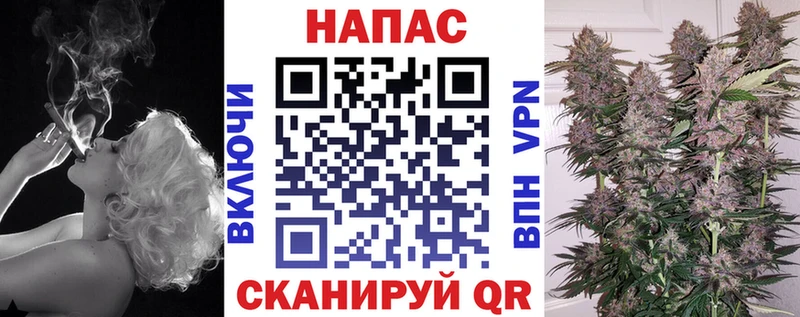 купить   Шадринск  Шишки марихуана Amnesia 
